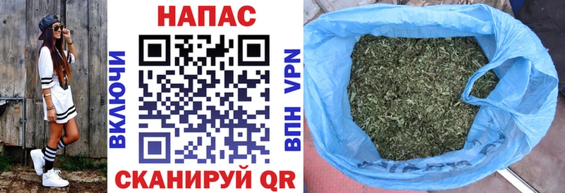 Канабис OG Kush  Купить закладки  Елабуга 